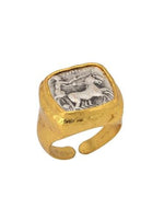 Load image into Gallery viewer, Colosseum Adjustable Ring - Aquadan.co