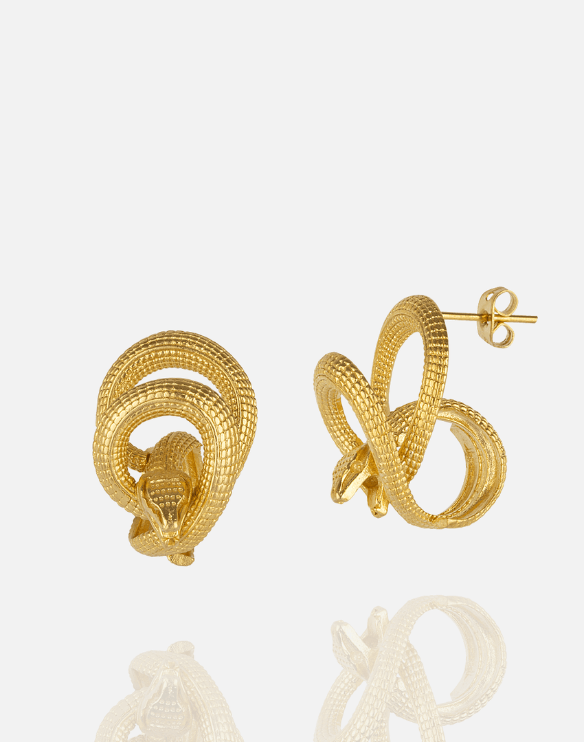 Complication Earring - Aquadan.co