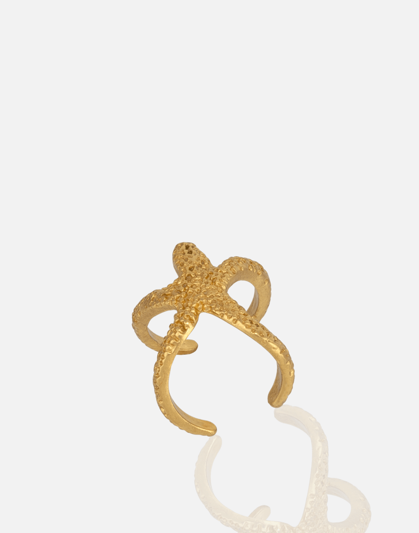 From The Aegean Sea Ring - Aquadan.co