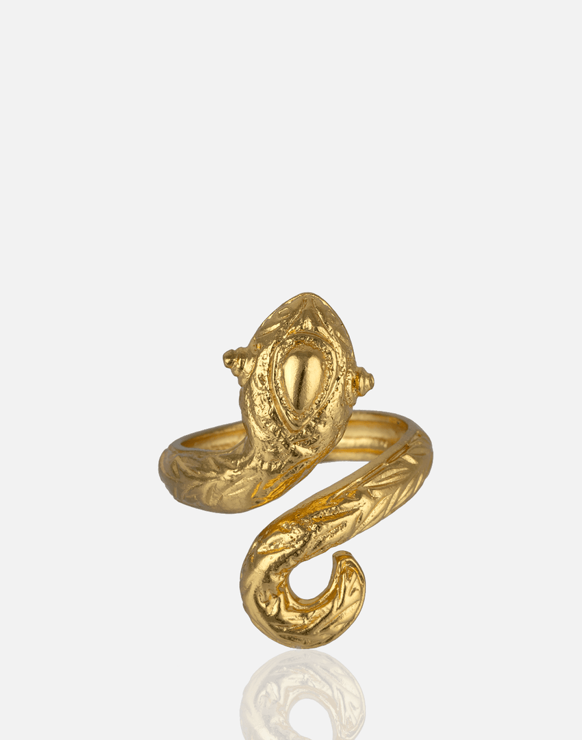 Myth Snake Ring - Aquadan.co