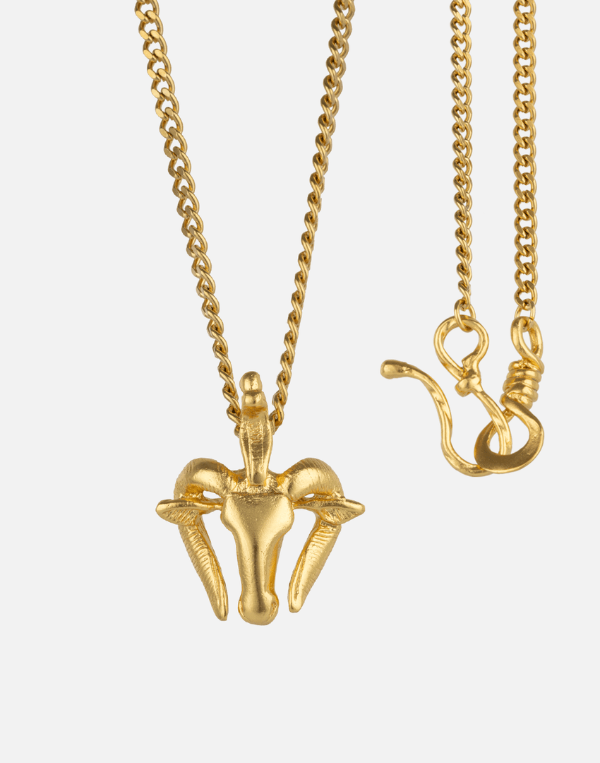 Ram s Necklace - Aquadan.co