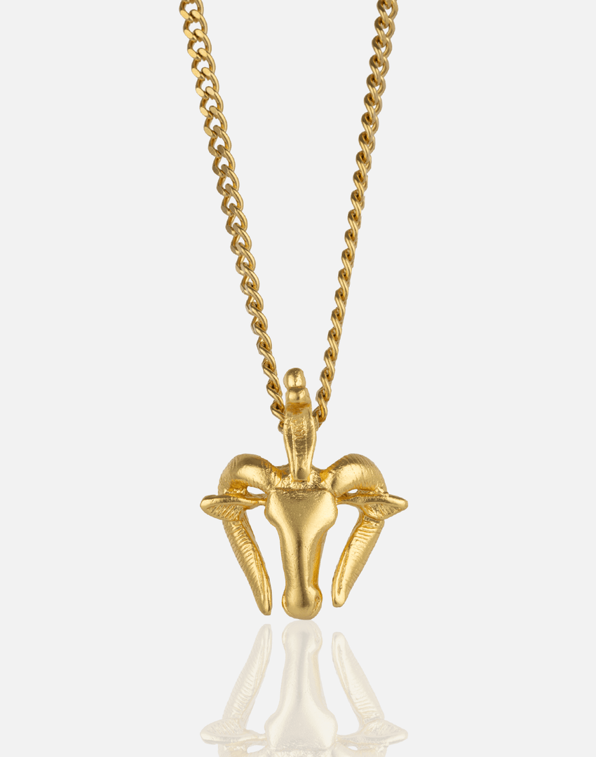 Ram s Necklace - Aquadan.co